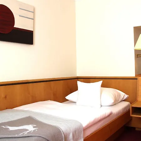 Riezler Hof فندق